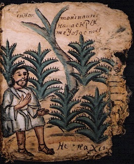 foja 49 del codice de Zictepec