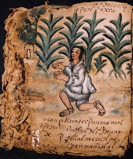 foja 62 del codice de Zictepec