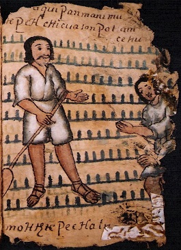 foja 65 del codice de Zictepec